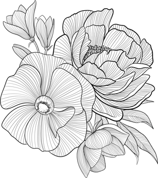 Digital painting illustration of a Bobbie flower bouquet in line art style png