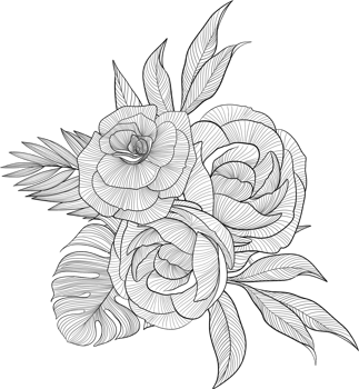 Digital painting illustration of a bouquet of Bobbie flowers and roses in line art style png