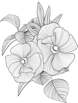 Digital painting illustration of a Bobbie flower bouquet in line art style png