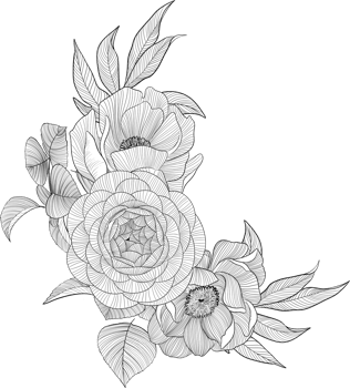 Digital painting illustration of a bouquet of Bobbie flowers and roses in line art style png