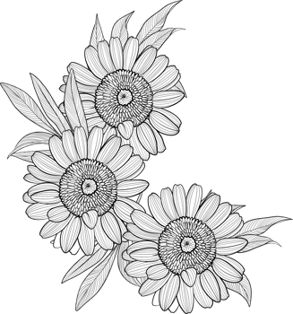 Digital painting illustration of a sunflower bouquet in line art style png