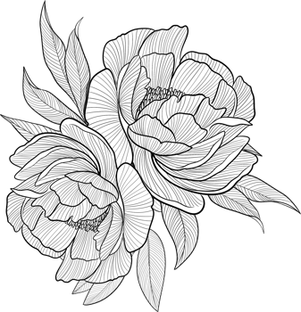 Digital painting illustration of a Bobbie flower bouquet in line art style png