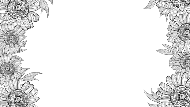 Horizontal frame with sunflower illustration in line art style, digital painting. png