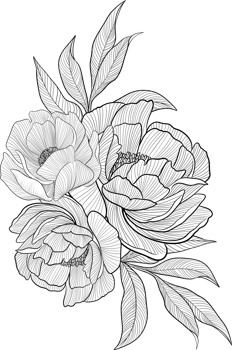 Digital painting illustration of a Bobbie flower bouquet in line art style png