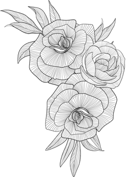 Digital painting illustration of a rose bouquet in line art style png