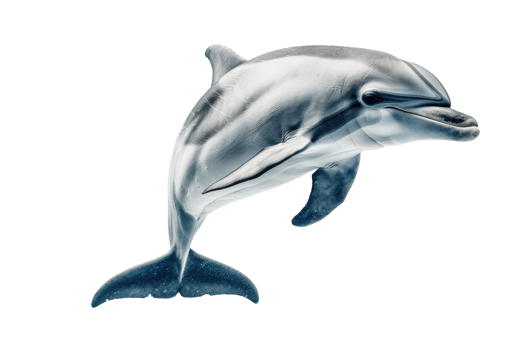 High-resolution image of a playful dolphin gracefully swimming underwater with a transparent background. showcasing its sleek, streamlined body. png