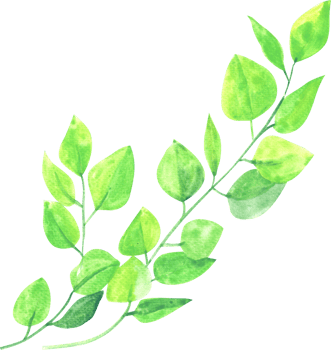 Tree branches swaying in the wind, watercolor painting hand-drawn illustration png