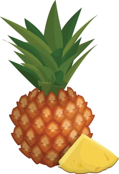 Tropical Pineapple Illustration vector
