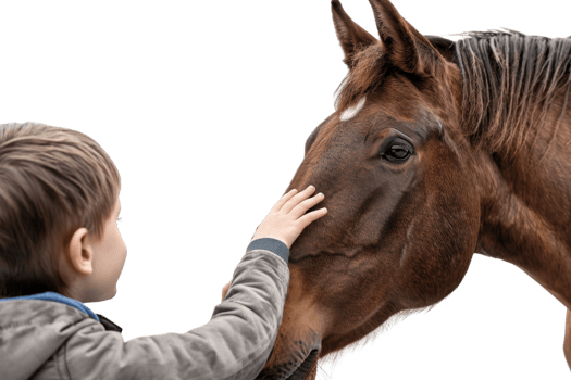 Young boy gently touching a horse's face, showcasing a moment of connection and love between child and animal in an outdoor setting. png