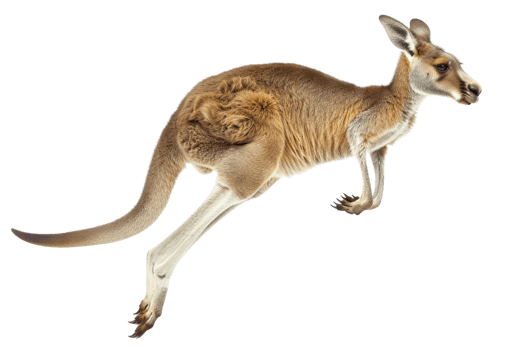 A kangaroo in mid-jump with its joey in the pouch, showcasing Australia's unique wildlife and dynamic nature. png