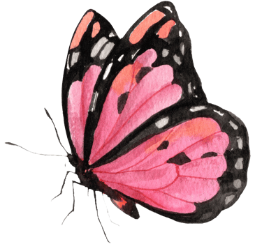 Pink Monarch butterfly, watercolor painting hand-drawn illustration png