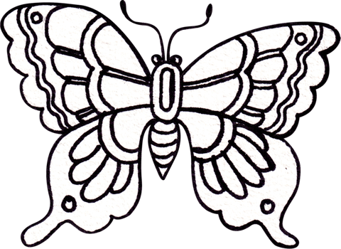 A butterfly spreading its wings with beautiful patterns, viewed from above, Line art, hand-drawn watercolor illustration png