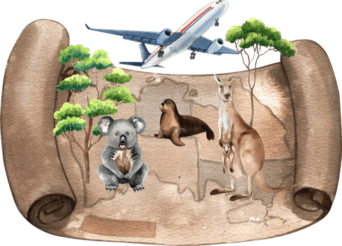 Australia is renowned for its iconic animals, including koalas, kangaroos, and fur seal, hand-drawn watercolor illustration png