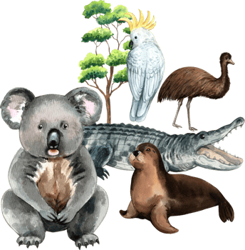 Australia is known for its iconic animals, including koalas, crocodiles, fur seal and emus, hand-drawn watercolor illustration png