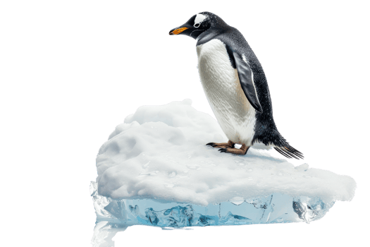 Gentoo penguin standing on ice block against transparent background. representing Arctic wildlife and cold climates. png