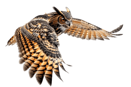 A majestic owl in flight with wings spread wide, showcasing its beautiful brown and white feathers against a transparent background. png