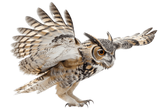 Great horned owl in mid-flight with wings outstretched. Captured in crisp detail against a transparent background. png