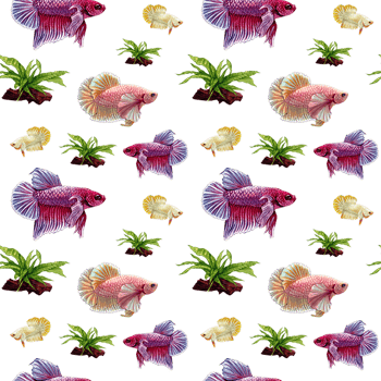 purple betta pattern siamese wild bettas watercolor painting hand-drawn illustration png