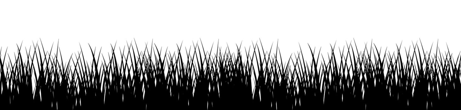 Green grass on white background vector