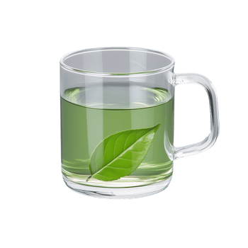 Cup of green tea with fresh leaves isolated on transparent background png