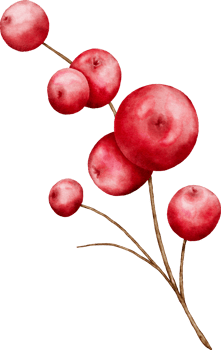 Watercolor Berries Elements png