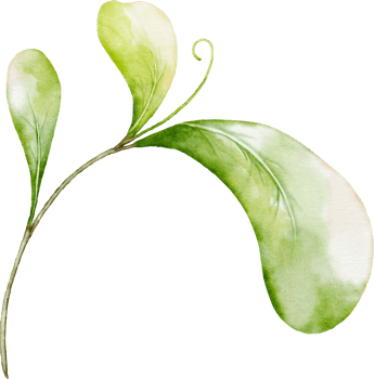 Watercolor leaves of berries png