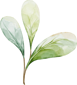 Green leaf composition of berry png