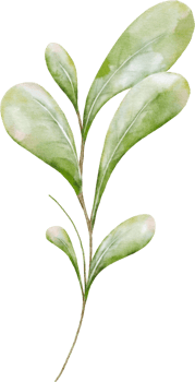 Green leaf composition of berries png