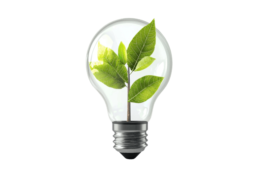 A green plant growing inside a light bulb, symbolizing sustainable energy and eco-friendly innovation on a transparent background. png