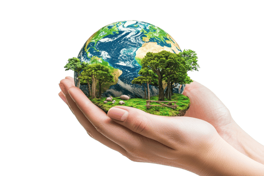 Hand gently cradle a miniature Earth with lush forests, symbolizing environmental conservation and global responsibility. png