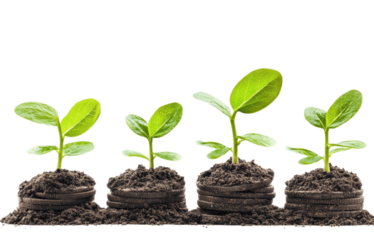 Close-up of four green seedlings in soil, symbolizing growth, nature, and environmental sustainability. Perfect for eco-friendly themes and projects. png