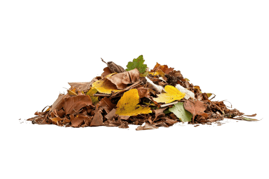 Pile of vibrant autumn leaves in various colors, capturing the essence of fall and the changing season. Perfect for seasonal and nature-themed projects. png