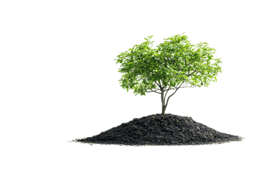 A thriving tree on a mound of soil against a transparent background. representing nature, growth, and the environment. png