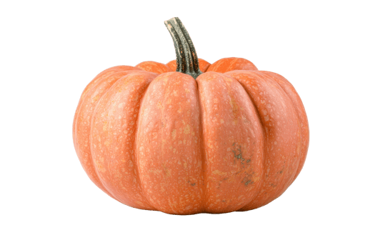 Close-up of a ripe, orange pumpkin with a green stem isolated on a transparent background. perfect for fall and Halloween-themed projects. png