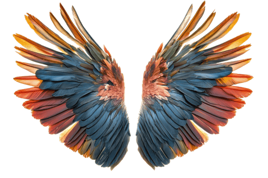 Vibrant and detailed feathered wings with a captivating blend of colors, perfect for fantasy, nature, and artistic themes. png