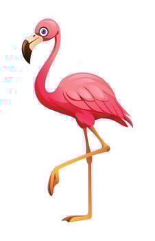 Flamingo cartoon illustration isolated on white background vector