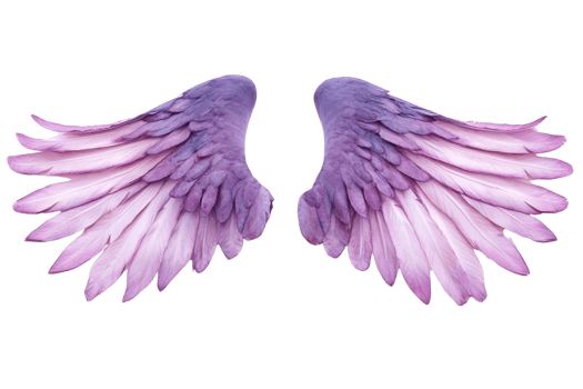 Beautiful purple and pink angel wings isolated on transparent background. Ideal for creative designs, fantasy themes, and inspirational projects. png