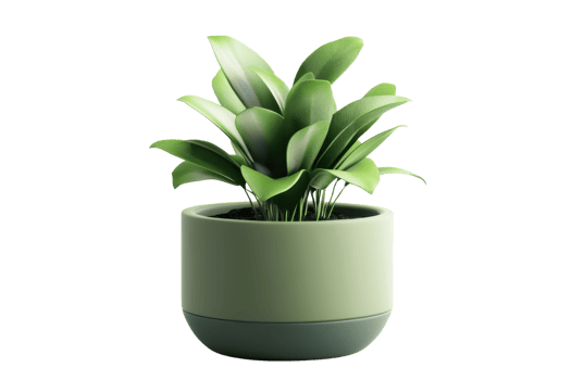Modern green potted plant in a minimalist pot, perfect for home or office decor, adding a touch of nature and freshness to any space. png