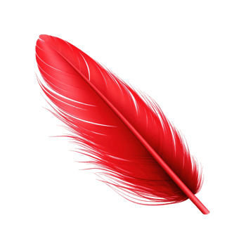 Red feather isolated on transparent background png