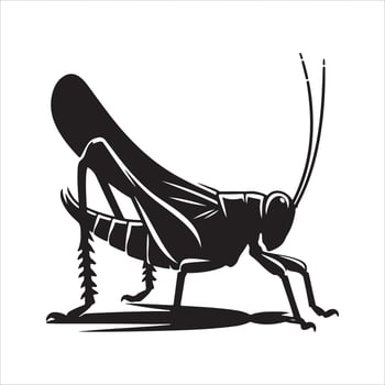 Katydid silhouette illustration vector