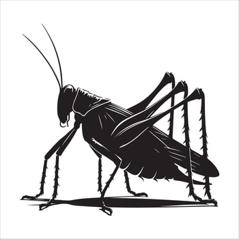 Katydid silhouette, file, Black color printable vector