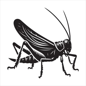 Katydid art illustration vector