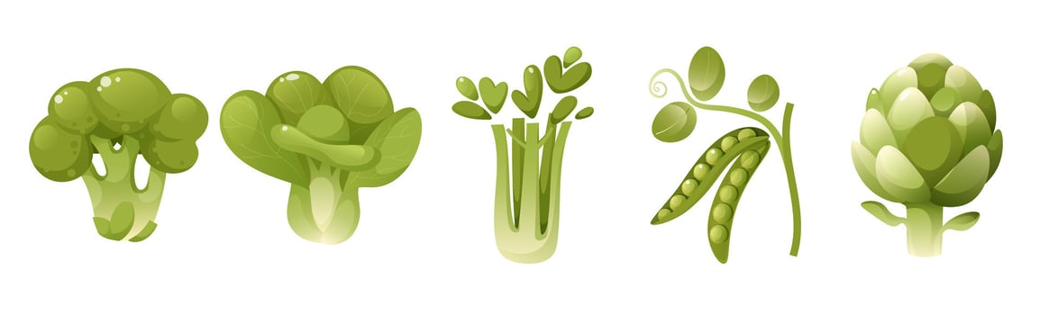 Green Vegetables and Salads Set, Fresh Leafy Vegetables, Broccoli, Cauliflower, Artichoke, Green Peas, Celery. Healthy Organic Food, Vegetarianism, Green Gardener's Harvest, Greens. vector