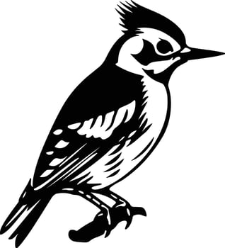 sweet Black silhouette of downy woodpecker head vector