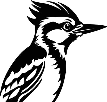 lovely Black silhouette of downy woodpecker head vector