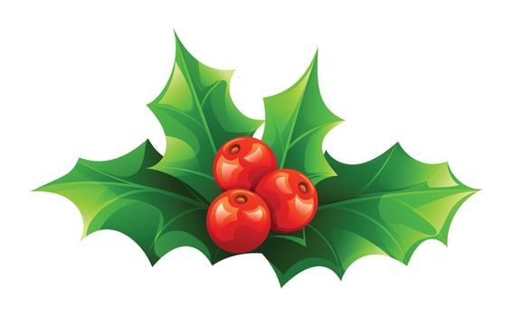 Holly leaves with red berries, Christmas decoration element. Cartoon illustration vector