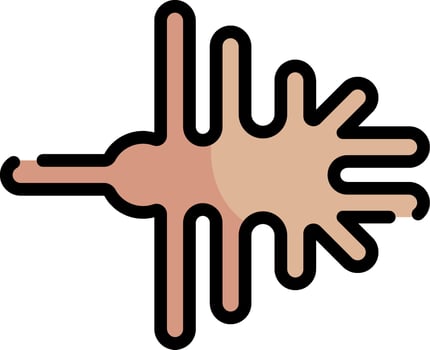 An illustration of a human brain vector