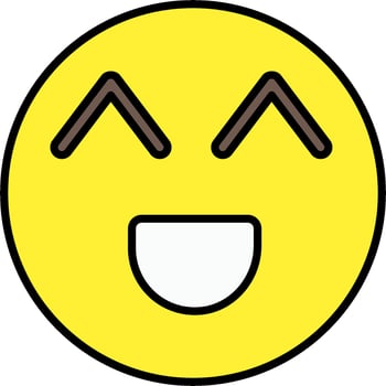 A smiley face with two eyes and a smile vector