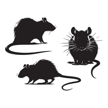Selection of black rat silhouettes against a simple white background vector