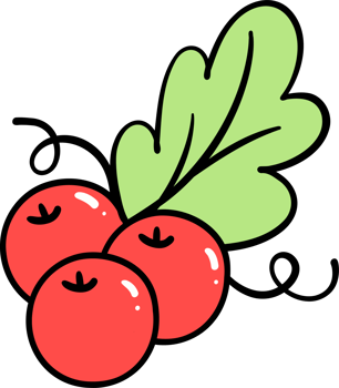 Christmas holly berries hand drawn doodle png